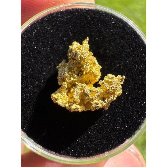 California Native Gold Crystal - 0.97 grams - Picture 5 of 7